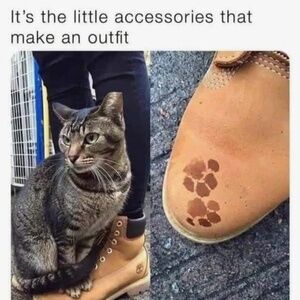 Accessories are important (haha)